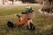 Kinderfeets Bike Stand for Classic/Retro and Tiny Tot