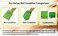 HMI Asian Exfoliating Bath Washcloth - Red - Green GOLDSANGSA, 8 Count (Pack of 1)