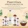 Plant Guru African Shea Butter Oil 2 oz 100% Pure Natural Skin, Body And Hair Moisturizer. DIY Butters, Lotion, Cream, lip Balm &amp; Soap Making Supplies, Eczema &amp; Psoriasis Aid, Stretch Mark Product