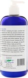 EIDON Silica &amp; MSM Moisturizing Lotion, 16-Ounce