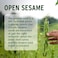 Banyan Botanicals Sesame Oil, Certified Organic, 16 oz - Pure, Unrefined - The Most Traditional of All Oils Used in Ayurveda, Good for Vata &amp; Kapha