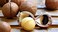 Barefoot Venus Macadamia Nut Oil Cream Lotion (Wild Ginger &amp; Sweet Orange)