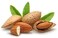 Barefoot Venus Macadamia Nut Oil Cream Lotion (Wild Ginger &amp; Sweet Orange)