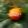 Lumene Vitamin C Arctic Berry Cocktail Brightening Hydra-Oil