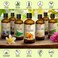 AROMATIKA trust the power of nature Calendula Oil 100Ml, 100% Pure And Natural Calendula Oil, Marigold Oil - Benefits For Skin, Nails, Lips, Hair, Face, Body, And Scalp. Used As A Purifying Agent, Exc