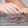 Pure Body Naturals Sweet Almond Oil for Hair and Skin, 100% Pure and Cold Pressed, Hexane Free, Skin Moisturizer, Nails, Therapeutic Massage, Carrier Oil - by 16 Fl. Ounce (Label Varies)