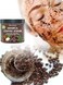 First Botany Natural Arabica Coffee Scrub With Organic Coffee, Coconut And Shea Butter, 12 Oz