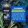 AXE Deodorant Stick for Men, Phoenix, 3 oz, Twin Pack