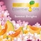 Air Wick Scented Oil Refill Plug in Air Freshener Essential Oils, Summer Delights, Starter Kit, 1 Warmer + 1 Refill