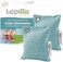 MOSO NATURAL Fridge Deodorizer Air Purifying Bag, Keeps Your Refrigerator and Freezer ; Fresh, Dry and Odor Free For Up To Two Years. 75gm 2-Pack, Long Lasting Charcoal Bags   Lasts up to 2 years!