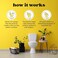 Poo-Pourri Before-You-Go Toilet Spray, Original Citrus, 4 Fl Oz - Lemon, Bergamot and Lemongrass