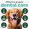 Tropiclean Oral Care Kit for Dogs