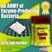 GREEN PIG Septic Tank Treatment - 8 Packets, Septic Safe Clog Remover, Prevents Expensive Septic Tank and Drain Field Failures, 2-Year Supply