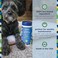 PET LIFE UNLIMITED PL360 Pet Odor Neutralizing Carpet Powder Pet Smell Oder Eliminator Removes Cat, Dog, Pet, Bad Odors from Carpets Eco Friendly, Natural and Safe Ingredients 16 oz, White (15406)