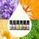 Plant Therapy Top 6 USDA Certified Organic Essential Oils Set. Includes: Eucalyptus, Lavender, Orange, Peppermint, Lemon and Tea Tree. 10mL (1/3 Ounce) each.