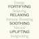Plant Therapy Top 6 Essential Oil Synergies Set. Includes: Stress Free, Energy, Germ Fighter, Relax, Immune-Aid, and Pain Aid. 10 mL (1/3 Ounce) each.