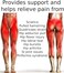 ROXOFIT Hip Brace for Sciatica Pain Relief: Ease Pain from Sciatic Nerve, Pulled Thigh, Hip Fleхоr Strain, Groin Injury, Hamstring Pull, Sacroiliac Joint - Compression Upper Leg Muscle Support