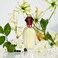 Paul Sebastian Design for Women, 3.4 oz Fine Parfum Spray