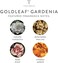 Thymes Goldleaf Gardenia Eau de Parfum (1.75 fl oz)