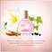 Vanderbilt Minuit a New York by Gloria Vanderbilt Eau De Parfum Spray 3.38 oz for Women