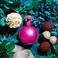 Britney Spears Fantasy Eau de Parfum Spray, 30 ml