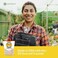 Fresh Cab Botanical Rodent Repellent 4 Scent Pouches - EPA Registered, Keeps Mice Out