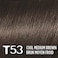 L&rsquo;Or&eacute;al Paris L'Oreal Feria Multi-Faceted Shimmering Permanent Hair Color, T53 Moonlit Tortoise (Cool Medium Brown), Pack of 1, Hair Dye