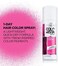L&rsquo;Or&eacute;al Paris L'Oreal Hair Color Colorista 1-Day Spray, Hotpink, 2 Ounce