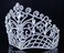 Janefashions Lush Clear Austrian Crystal Rhinestone Tiara Crown Bridal Prom Pageant T11884