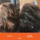 DS Laboratories Revita Shampoo And Conditioner By Ds Labs - High-Performance Shampoo And Conditioner For Thicker, Fuller, Healthier Hair. Sulfate And Silicone Free. For Men And Women. 925 Ml