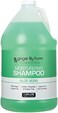Ginger Lily Farms Club &amp; Fitness Moisturizing Shampoo for All Hair Types, 100% Vegan &amp; Cruelty-Free, Aloe Vera Scent, 1 Gallon (128 fl oz) Refill