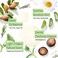 Tree To Tub Clarifying Shampoo for Sensitive Skin   pH 5.5 Balanced &amp; Hypoallergenic for All Hair Types, with Organic Argan Oil, Wild Soapberries, Natural Peppermint Oil 250 mL