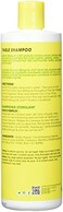 Jamaican Mango &amp; Lime Jamaican Mango and Lime Tingle Shampoo, 16 Ounce