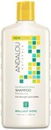 Andalou Naturals Sunflower and Citrus Brilliant Shine Shampoo, 11.5 Ounce