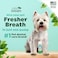 Tropiclean Fresh Breath Pet Mint Foam Plaque Remover 4.5oz