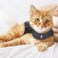 ThunderShirt Large Shirt for Cats