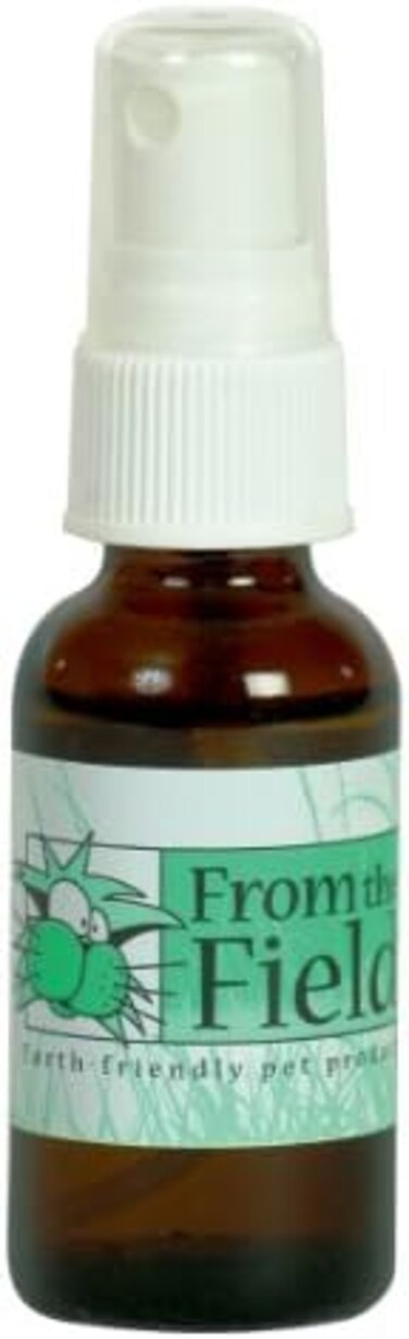 بخاخ النعناع البري من ذا فيلد FFC301 1 اونصة