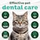Tropiclean Clean Teeth Oral Care Gel For Cat