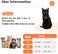 RosyLife Lion Mane Wig for Cat Costume Pet Adjustable Washable Comfortable Fancy Lion Hair Cat Clothes Dress for Halloween Christmas Easter Festival Party Activity (Brown)