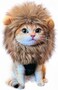 RosyLife Lion Mane Wig for Cat Costume Pet Adjustable Washable Comfortable Fancy Lion Hair Cat Clothes Dress for Halloween Christmas Easter Festival Party Activity (Brown)