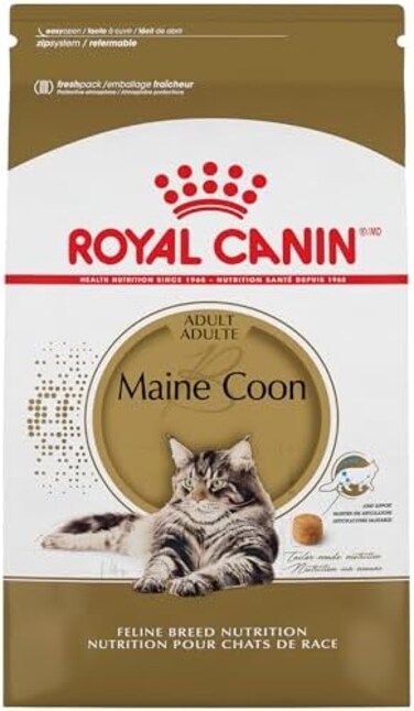 رويال كانين طعام جاف للقطط البالغة من ماين كون بريد، كيس 6 باوند