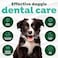 Tropiclean Clean Teeth Oral Care Gel For Puppies &ndash; 2oz