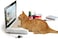 SUCK UK   Cat Scratch Laptop   Cat Scratcher Laptop with Fluffy 'Mouse'   Interactive Cat Toys   Paw Over Social Media &amp; Catch up on The Mews   Kitten Toys &amp; Cat Scratch Pads