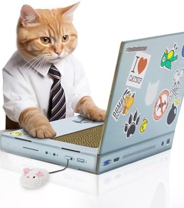 SUCK UK   Cat Scratch Laptop   Cat Scratcher Laptop with Fluffy 'Mouse'   Interactive Cat Toys   Paw Over Social Media &amp; Catch up on The Mews   Kitten Toys &amp; Cat Scratch Pads
