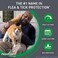 Frontline Plus for Cats and Kittens Flea and Tick Treatment,3 Doses (1.5 lbs)