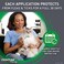 Frontline Plus for Cats and Kittens Flea and Tick Treatment,3 Doses (1.5 lbs)
