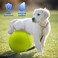 Banfeng Banyun Giant 9.5" Dog Tennis Ball Large Pet Toys Funny Outdoor Sports Dog Ball