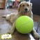 Banfeng Banyun Giant 9.5" Dog Tennis Ball Large Pet Toys Funny Outdoor Sports Dog Ball