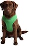Puppia Soft Dog Harness No Choke Over-The-Head Triple Layered Breathable Mesh Adjustable Chest Belt and Quick-Release Buckle, Green, Medium
