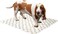 PoochPad Pooch Pads TRADITIONAL , MEDIUM, 20"" X 27"" -WHITE